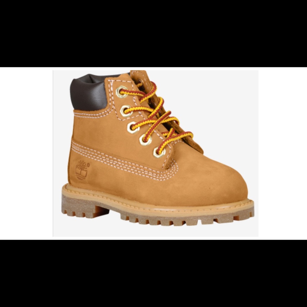 Boys’ Timberland 6” Premium Waterproof Boots Sz-8C